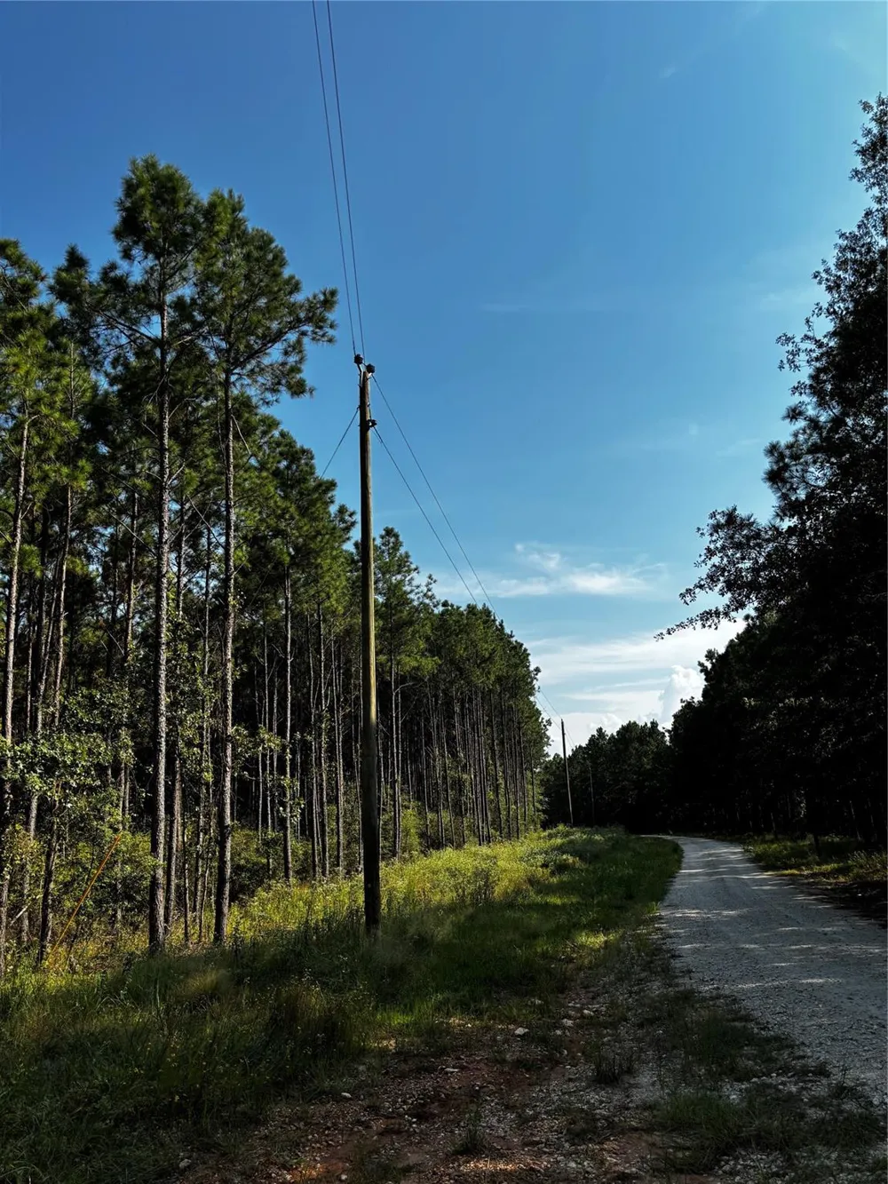 Motely Way Lovelady, TX 75851