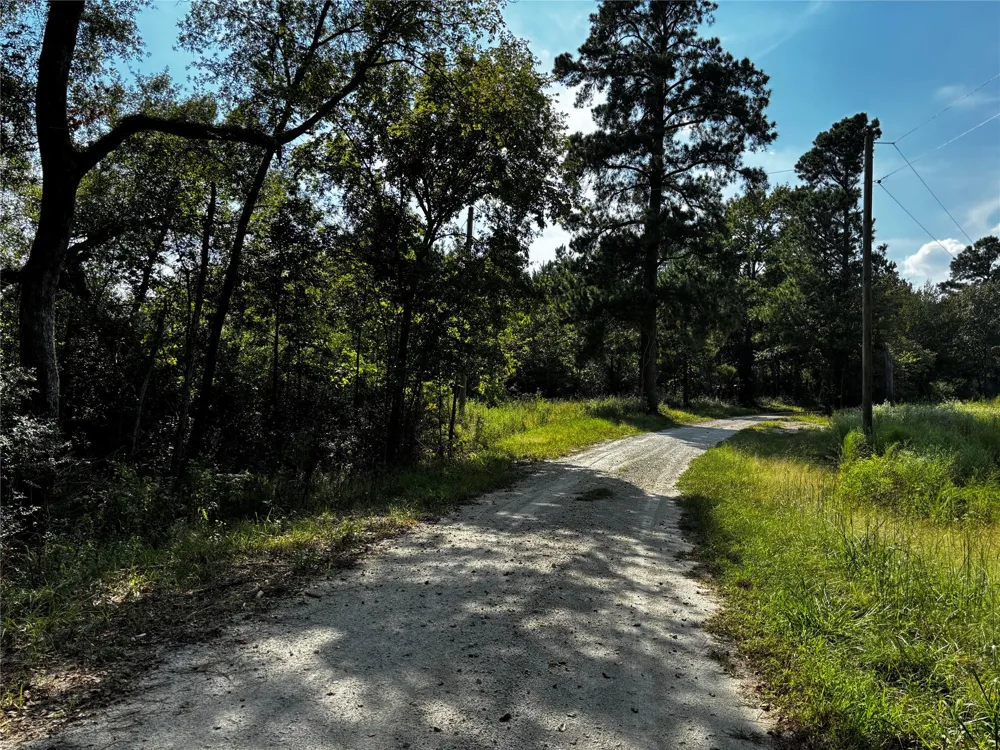 Motely Way Lovelady, TX 75851