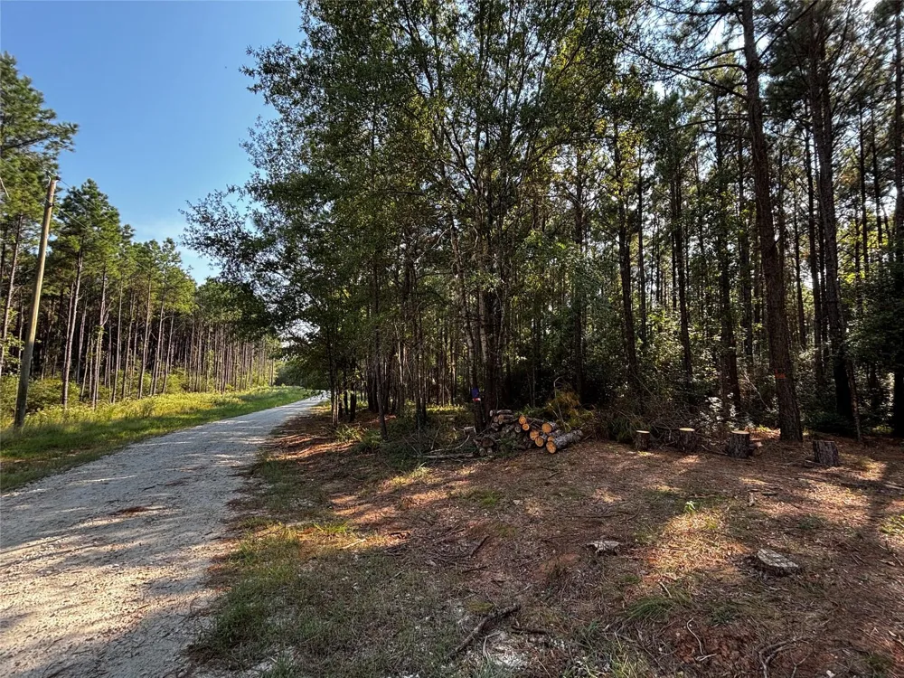 Motely Way Lovelady, TX 75851