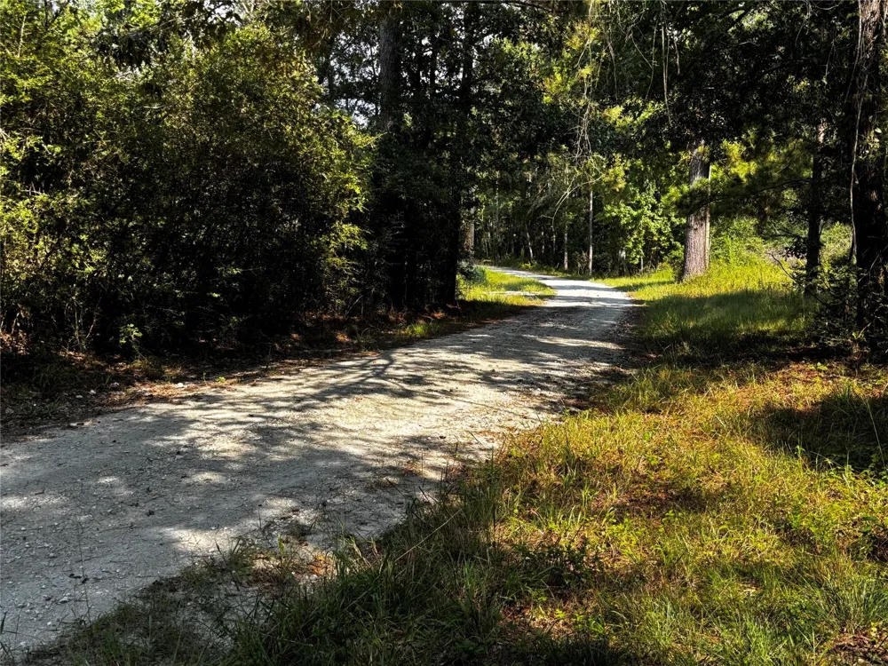 Motely Way Lovelady, TX 75851