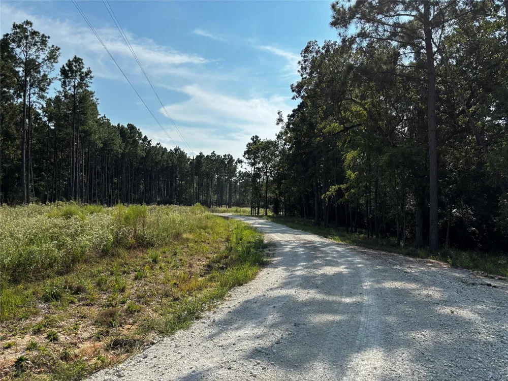 Motely Way Lovelady, TX 75851