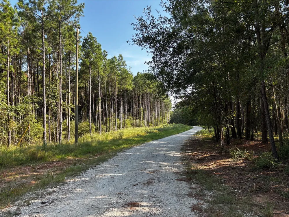 Motely Way Lovelady, TX 75851