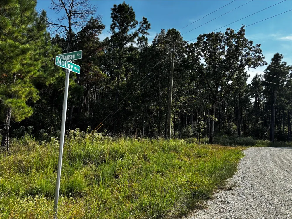 Motely Way Lovelady, TX 75851