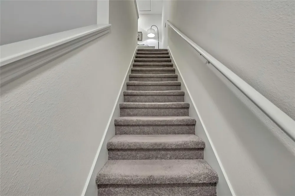 16662 MAUDE DRIVE Wimauma, FL 33598