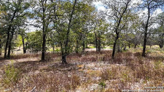 141 Oak Hill La Vernia, TX 78121