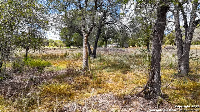 141 Oak Hill La Vernia, TX 78121