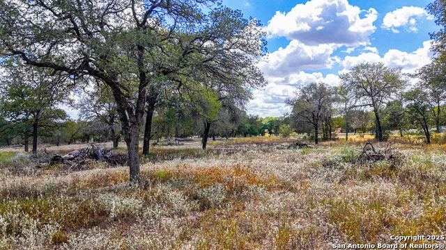 141 Oak Hill La Vernia, TX 78121