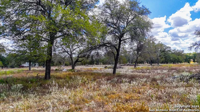 141 Oak Hill La Vernia, TX 78121