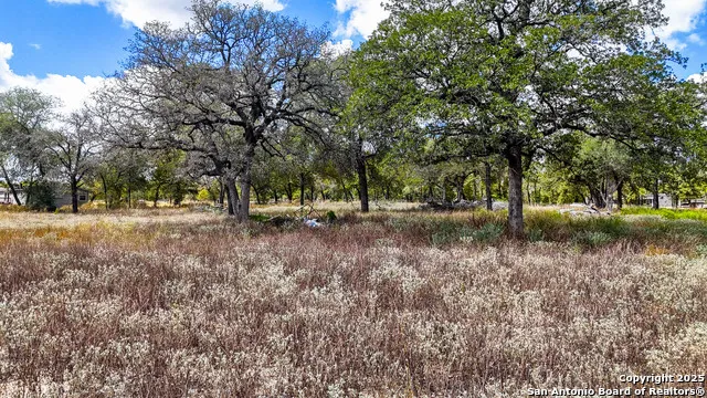 141 Oak Hill La Vernia, TX 78121