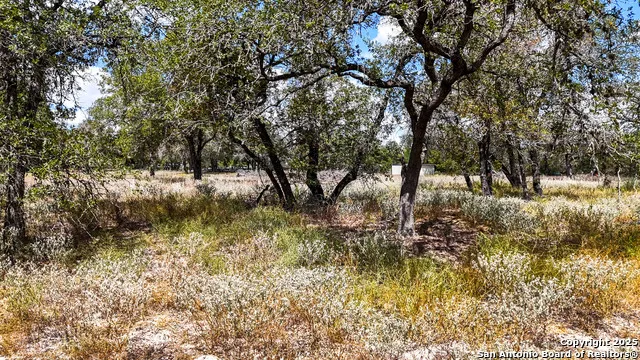 141 Oak Hill La Vernia, TX 78121