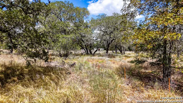 141 Oak Hill La Vernia, TX 78121