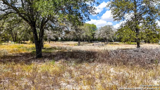 141 Oak Hill La Vernia, TX 78121