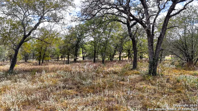 141 Oak Hill La Vernia, TX 78121