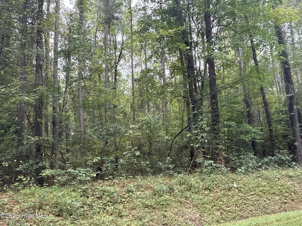 0 Creekmur Road Edward, NC 27821