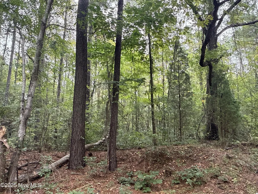 0 Creekmur Road Edward, NC 27821
