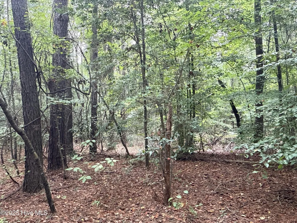 0 Creekmur Road Edward, NC 27821