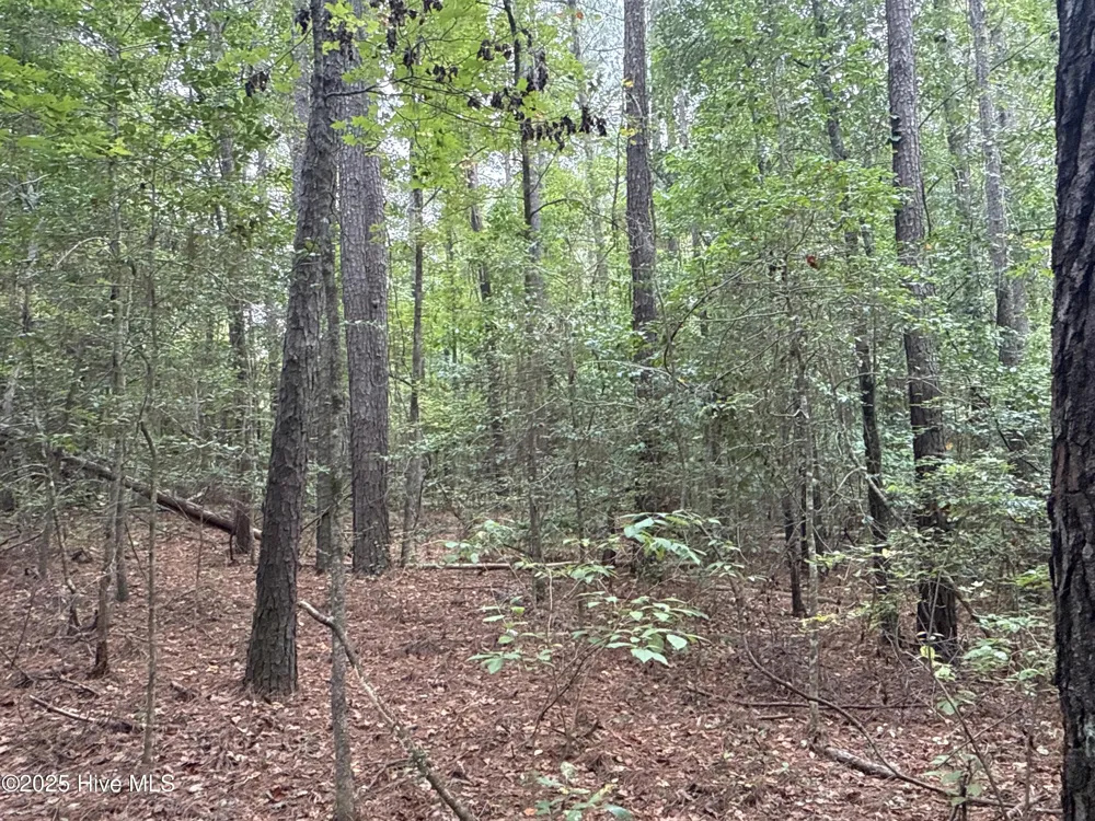 0 Creekmur Road Edward, NC 27821