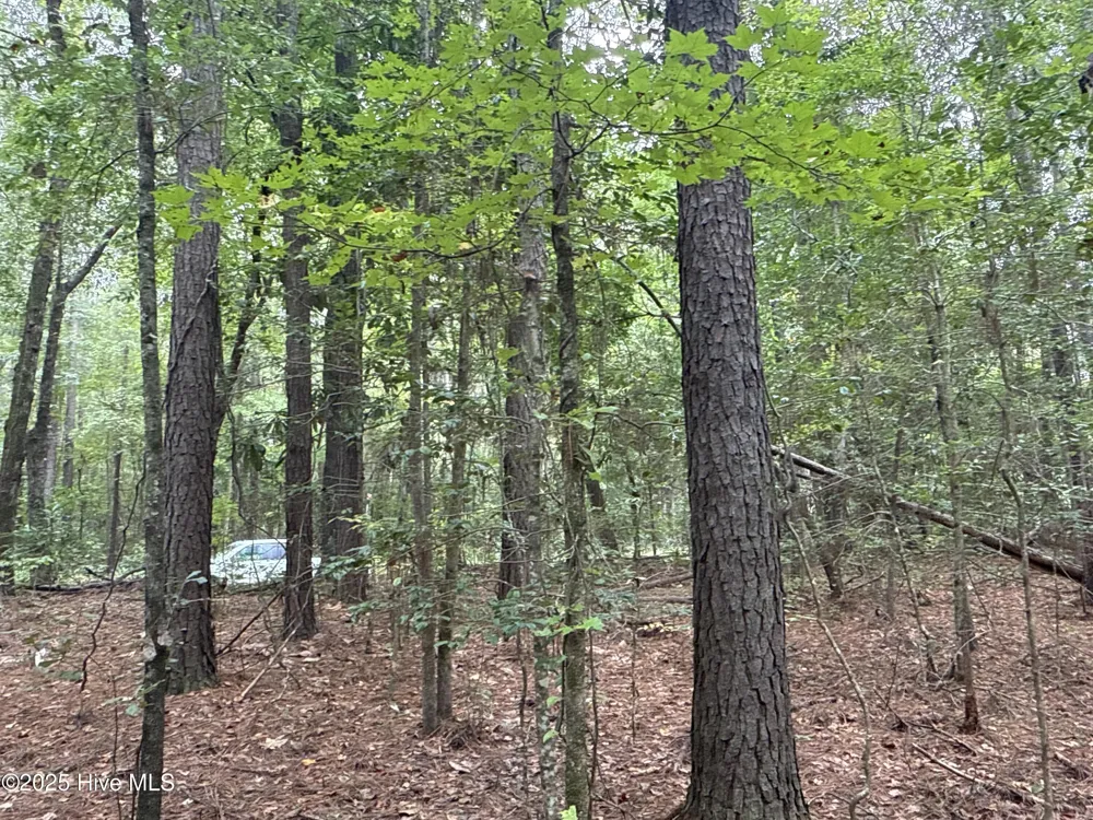 0 Creekmur Road Edward, NC 27821