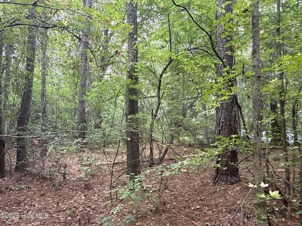 0 Creekmur Road Edward, NC 27821