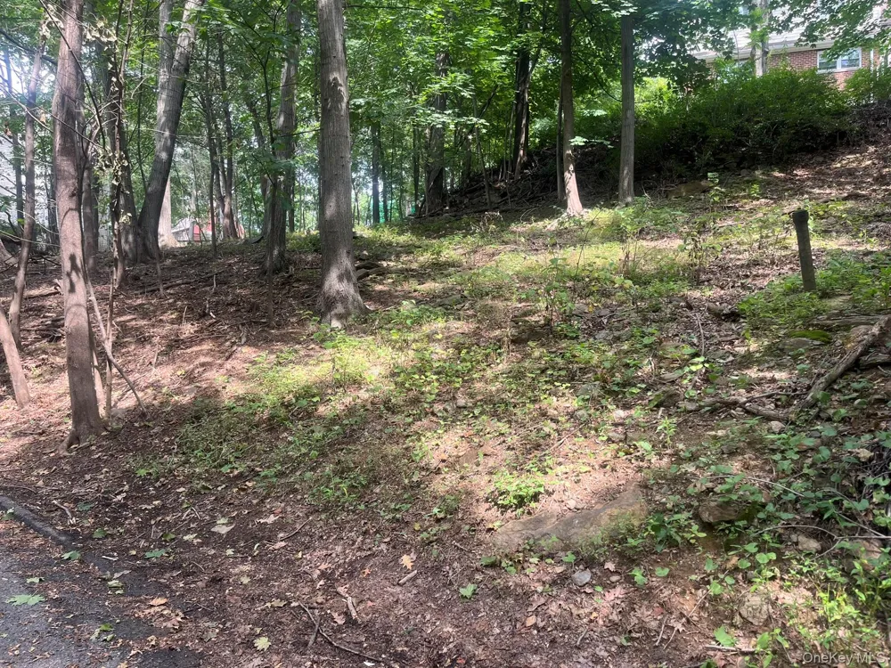 0 Springwood Avenue Ardsley, NY 10502