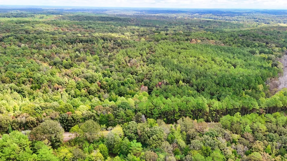 0 Sain Rd Bolivar, TN 38008