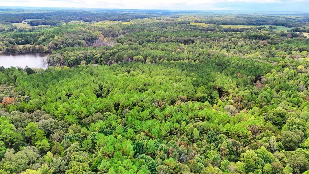 0 Sain Rd Bolivar, TN 38008
