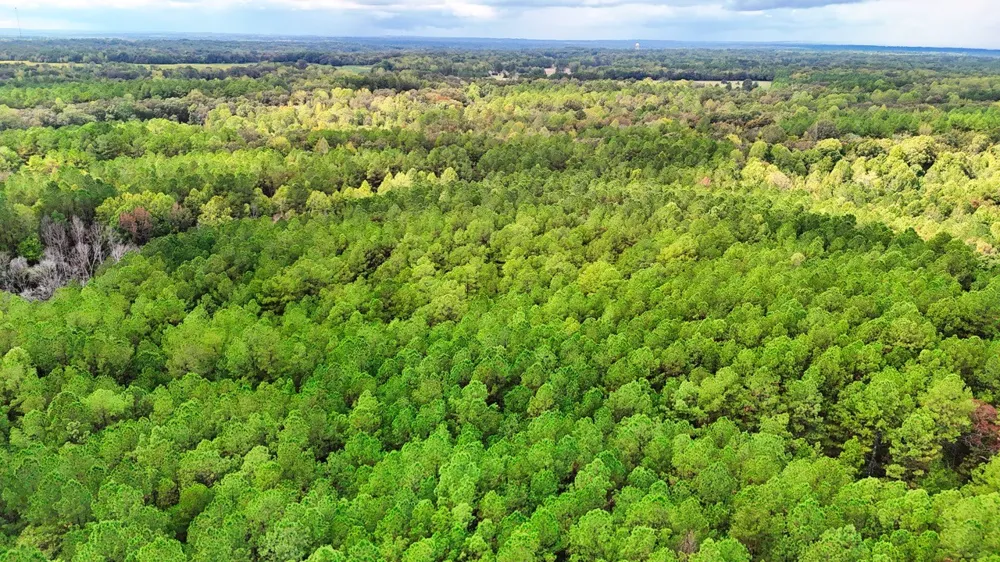 0 Sain Rd Bolivar, TN 38008