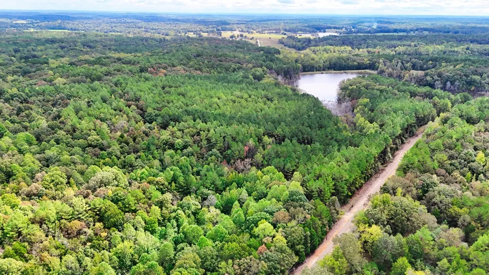 0 Sain Rd Bolivar, TN 38008