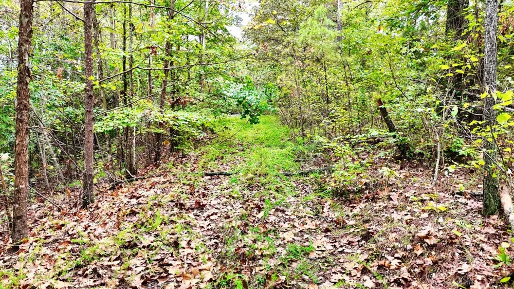 0 Sain Rd Bolivar, TN 38008