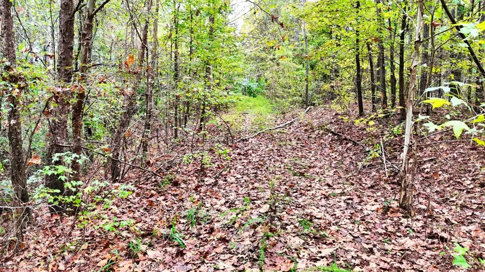 0 Sain Rd Bolivar, TN 38008