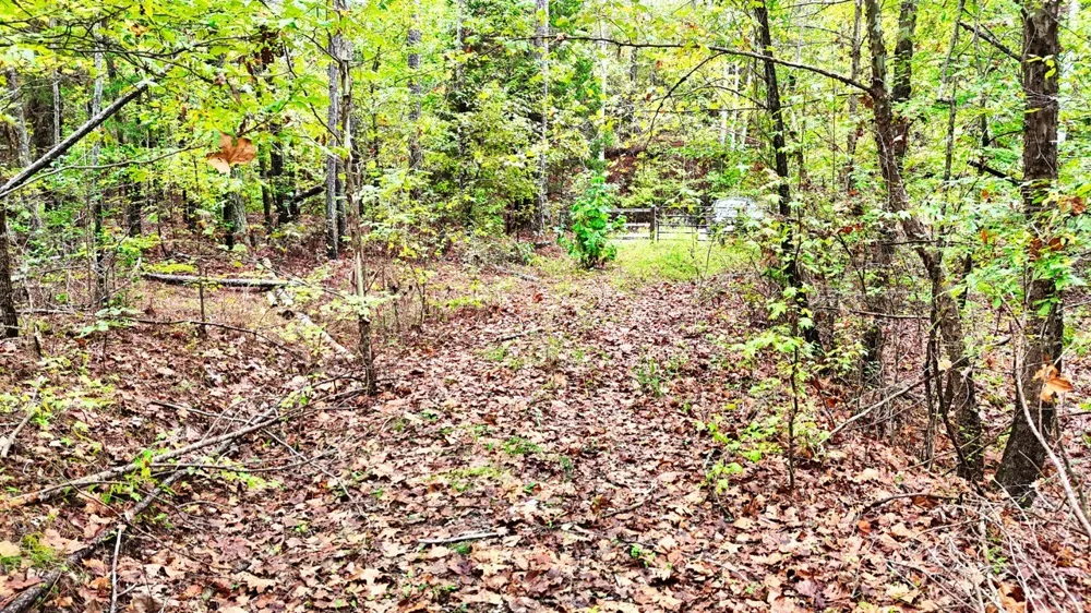 0 Sain Rd Bolivar, TN 38008