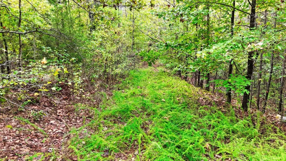 0 Sain Rd Bolivar, TN 38008