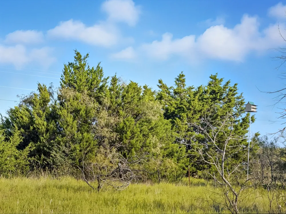 Pr 42126 Evant, TX 76566