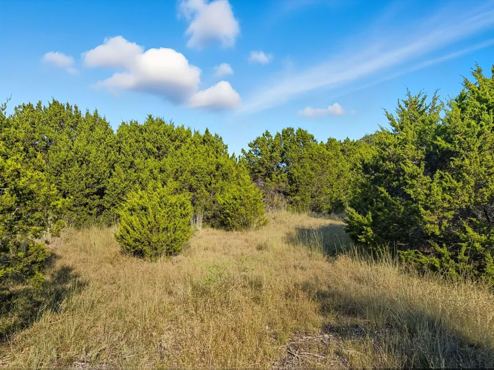 Pr 42126 Evant, TX 76566