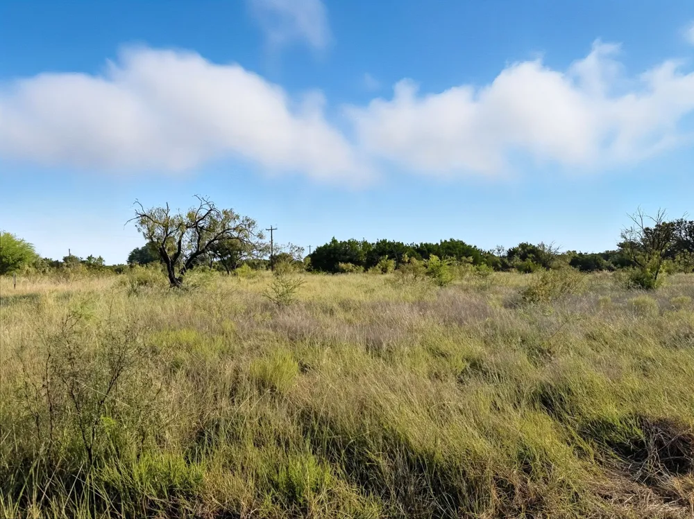 Pr 42126 Evant, TX 76566