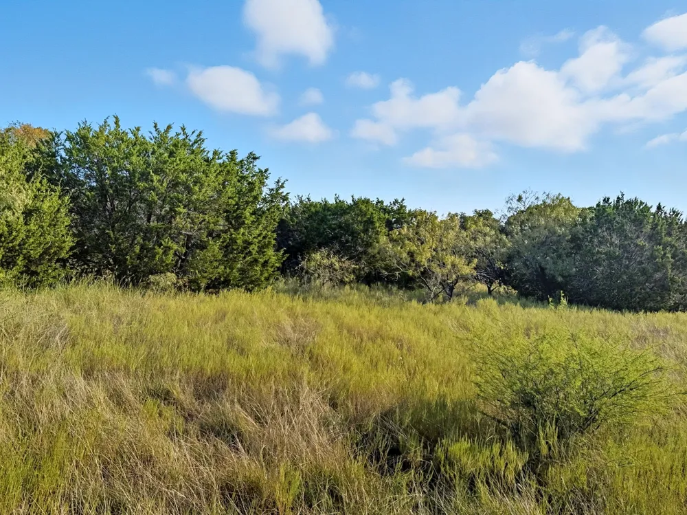 Pr 42126 Evant, TX 76566