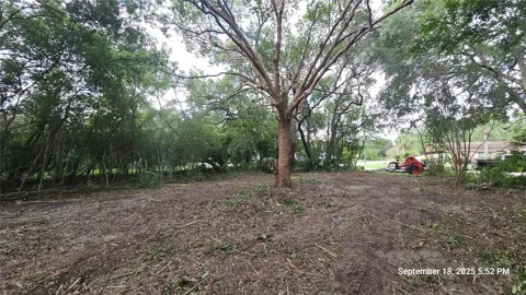 691 PIEDMONT DRIVE