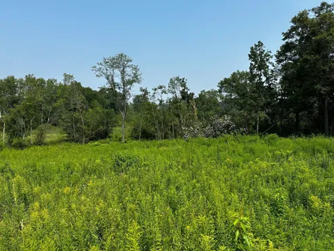 8 Pondview Trail