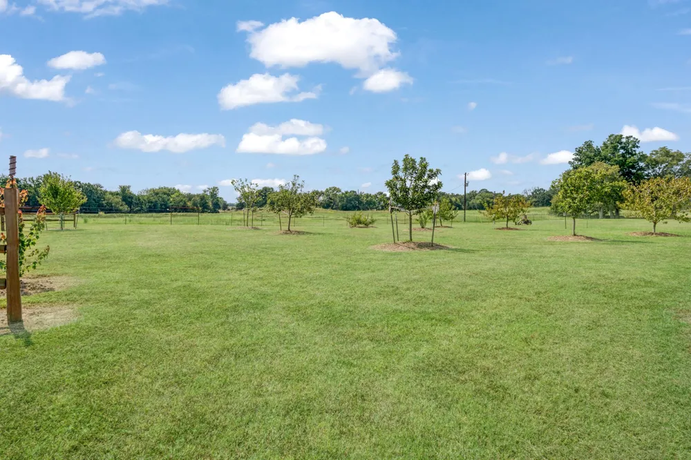 1750 County Road 34430 Sumner, TX 75486
