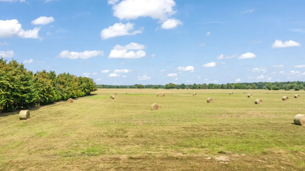 1750 County Road 34430 Sumner, TX 75486