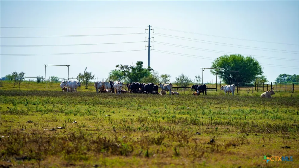 2525 Fm-2623 Seguin, TX 78155