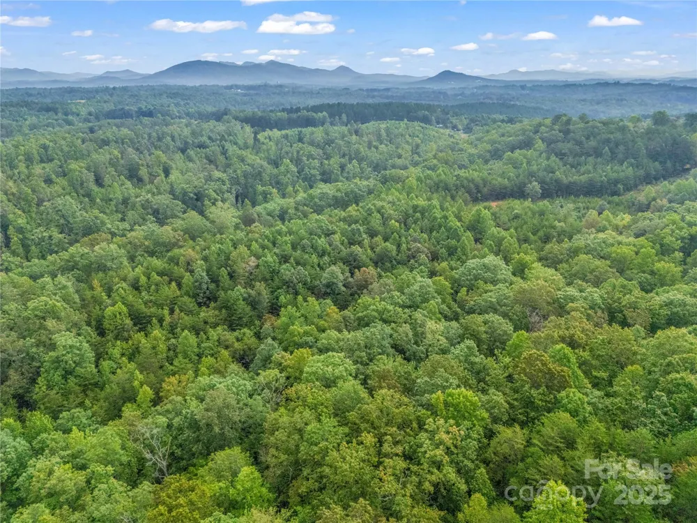 625 Rainbow Rapids Road Rutherfordton, NC 28139