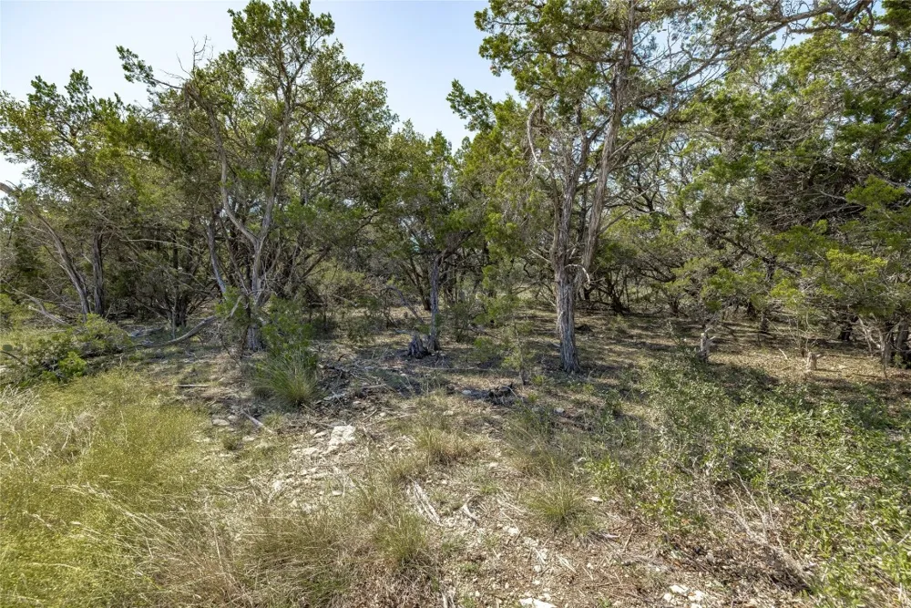 County Road 281 Lot 2 Leander, TX 78641