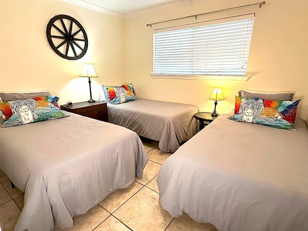 730 E Mather Street #L 303 New Braunfels, TX 78130