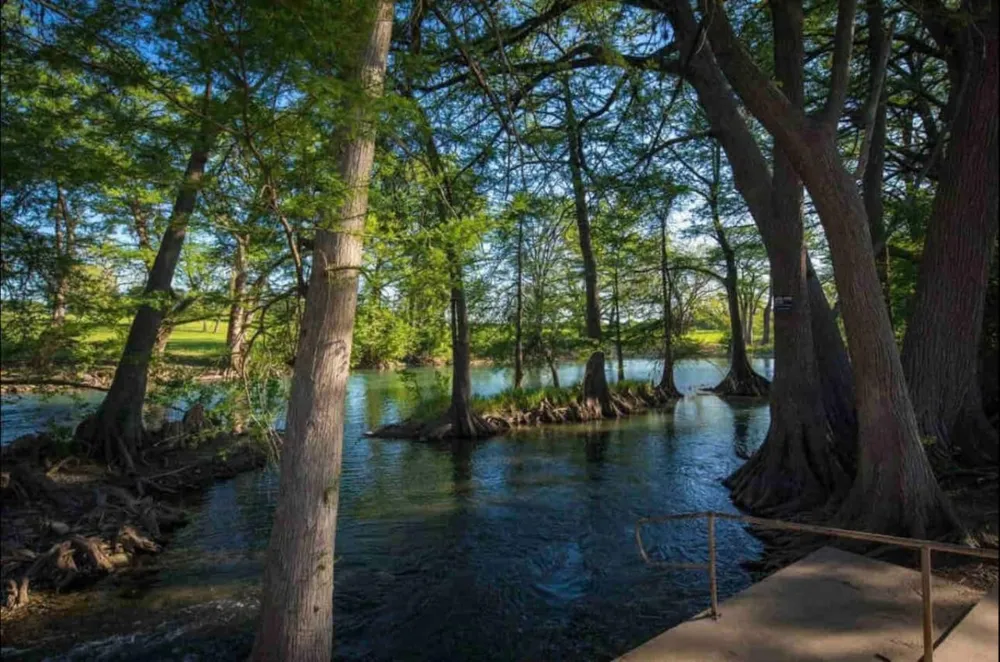 730 E Mather Street #L 303 New Braunfels, TX 78130