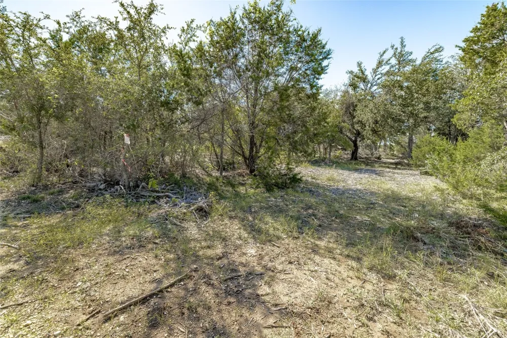 County Road 281 Lot 1 Leander, TX 78641