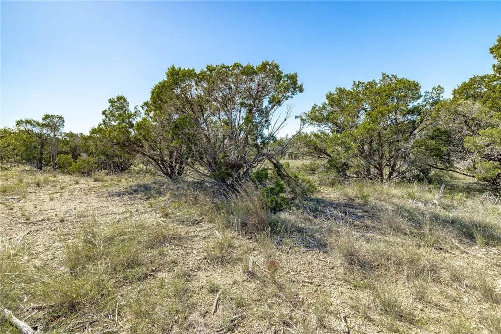 County Road 281 Lot 3 Leander, TX 78641