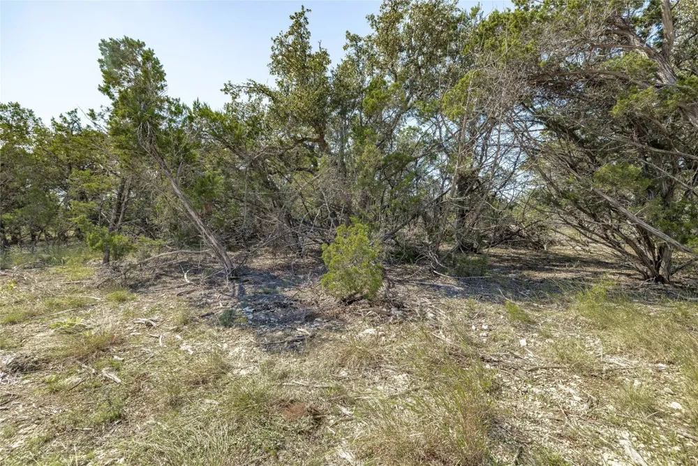 County Road 281 Lot 3 Leander, TX 78641