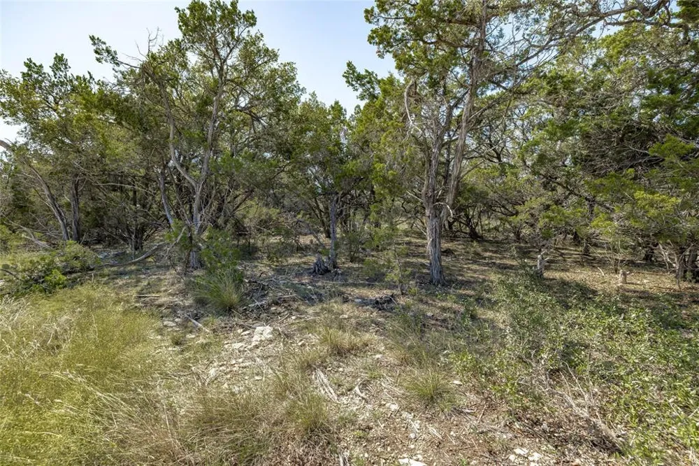 County Road 281 Lot 4 Leander, TX 78641