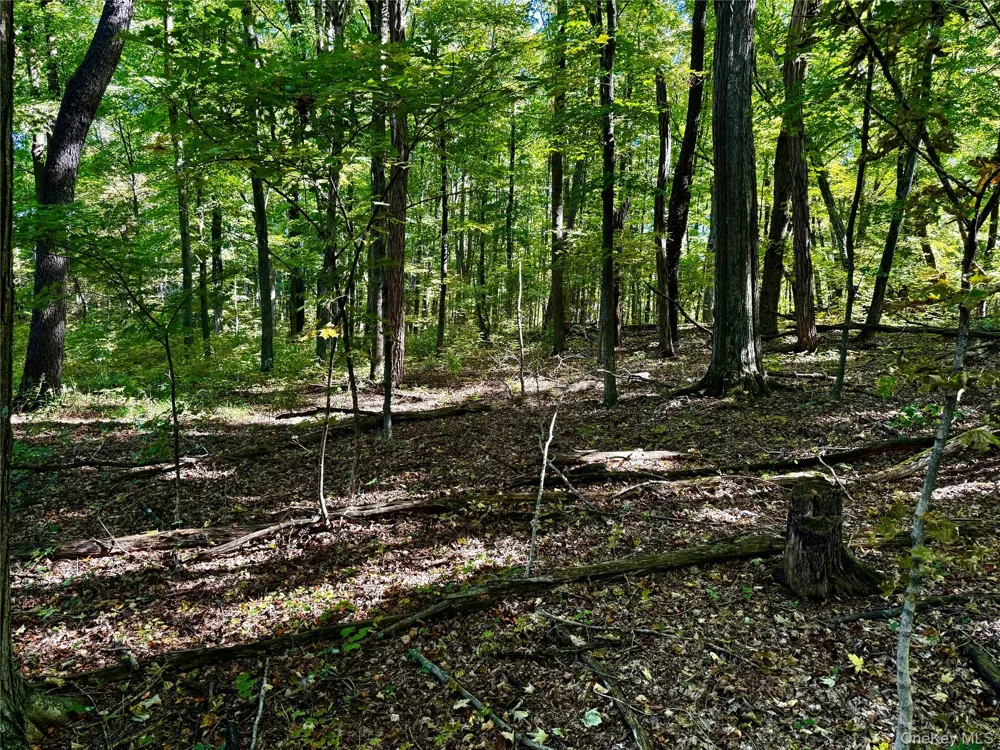 Freedom Road Lagrangeville, NY 12569